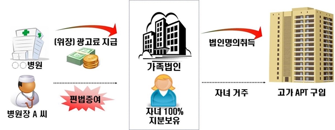 국세청이 세무조사에 착수한 부동산 법인 이용 편법 거래 사례. 국세청 제공