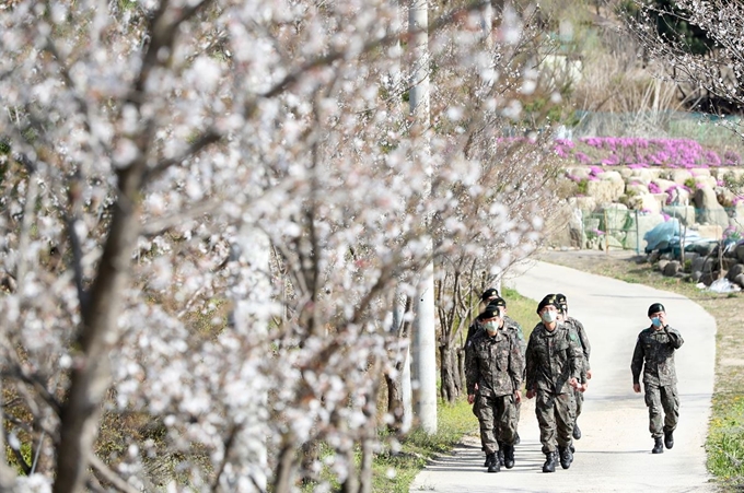 군 장병의 외출 통제가 부분적으로 해제된 24일 오후 강원 화천군 육군 27사단 화생방지원대에서 외출 장병들이 위병소를 통과해 영외로 빠져나오고 있다. 연합뉴스