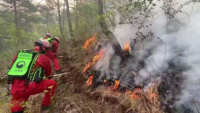 산림청 산림항공본부 공중진화대원들이 25일 경북 안동시 풍천면 인금리 산불현장에서 진화작업을 펼치고 있다. 산림당국은 이날 아침 일출과 동시에 산불진화 헬기 18대를 비롯해 유관기관 헬기 6대 등 총 24대의 헬기와 공중진화대 및 산불특수진화대 등 진화인력 1,103명을 투입해 진화작업을 펼치고 있다. 산림청 제공