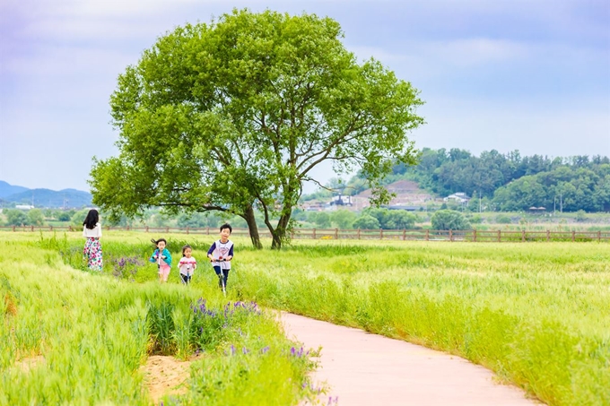 경남도는 코로나19 감염 예방을 위해 대인접촉은 피하면서 안전하게 여행할 수 있는 ‘비대면(untact)힐링관광 18선’을 선정해 발표했다. 18선 중 한 곳인 함안 강나루생태공원. 경남도 제공