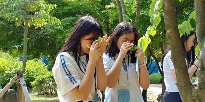 학생들이 나뭇잎을 들여다보며 관찰하고 있다. 국립생물자원관 제공