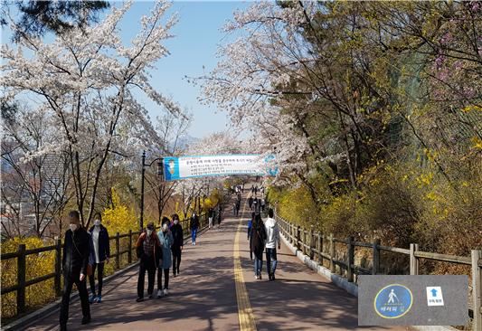 서울 남산순환산책로 이용객들이 코로나19 확산 방지를 위해 한쪽 방향으로 맞춰 걷고 있다. 서울시 제공