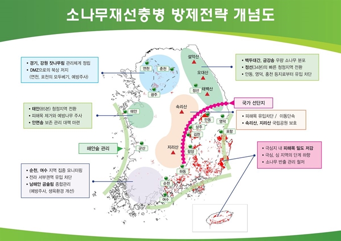 소나무재선충병 방제전략 개념도