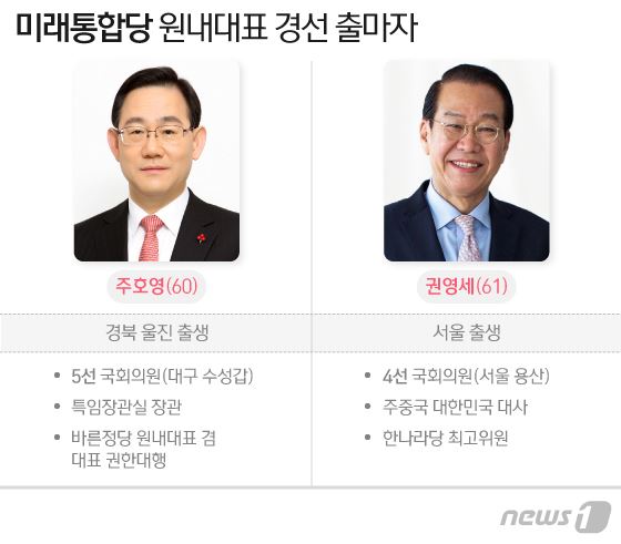 미래통합당의 원내대표 경선이 5선의 주호영 의원(대구 수성갑)과 4선의 권영세 당선자(서울 용산) 2파전으로 6일 확정됐다. 뉴스1