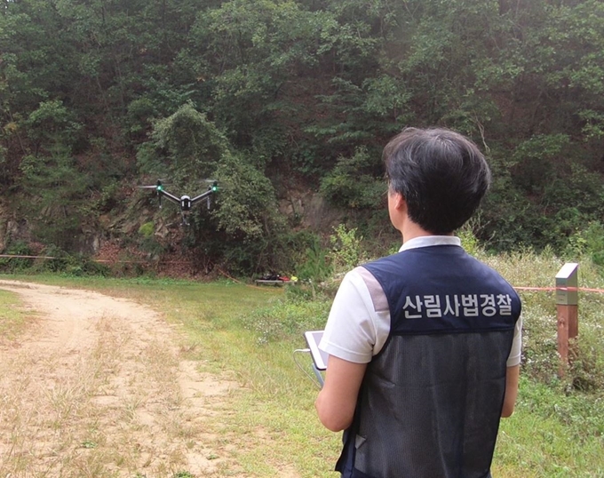 산림청 산림사법경찰이 봄철 산림내 임산물 무단 채취 등 불법행위를 감시하기 위해 드론을 띄우고 있다. 산림청 제공