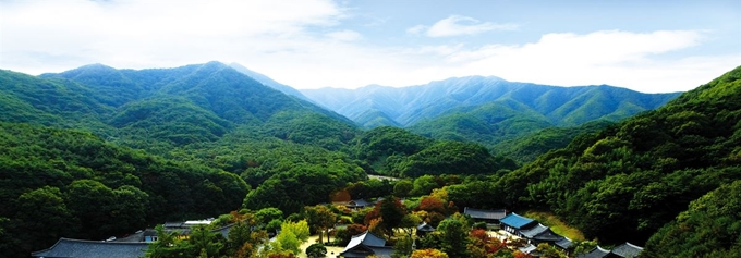 경북 김천시는 올해 연말까지 100개 명산 프로젝트를 펼친다. 김천시 제공