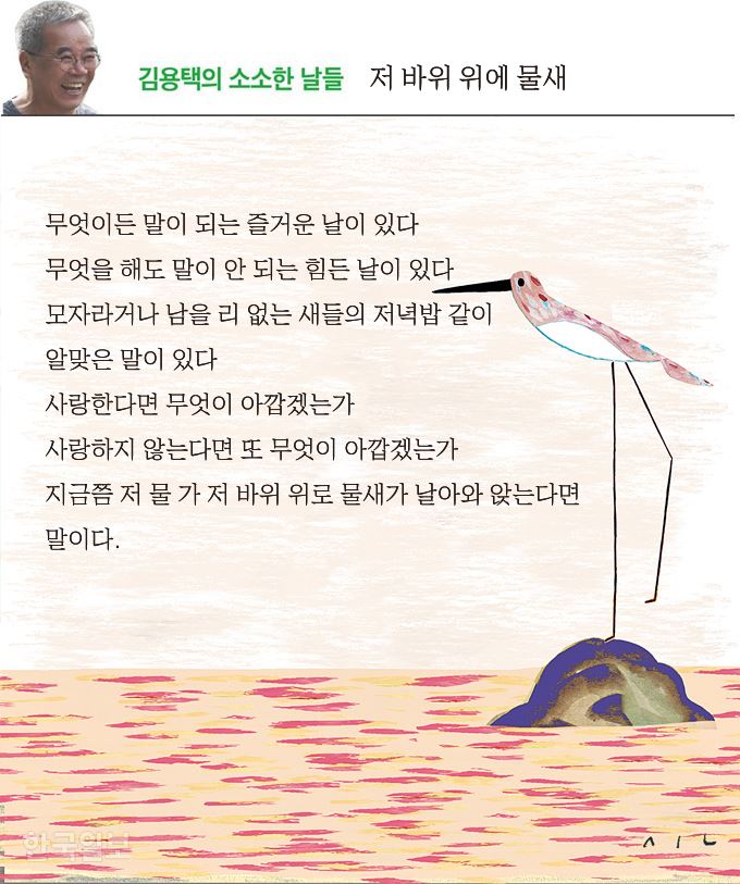 [저작권 한국일보]김용택의 소소한 날들_신동준 기자