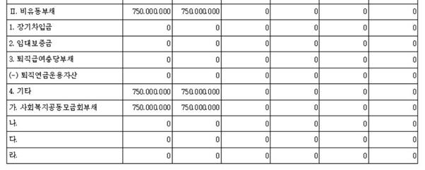 재무상태표에 사회복지공동모금회부채로 7억5,000만원이 공시돼 있다. 정대협은 지난 2012년 사회복지회로부터 현대중공업의 기부금 10억원을 지정 기부 받았고, 이 돈으로 위안부 피해자 쉼터를 지었다. 쉼터 설립 7년 만에 쉼터 부동산 가격 7억5,000만원을 부채로 공시한 것이다. 자료=정대협 국세청 결산서류