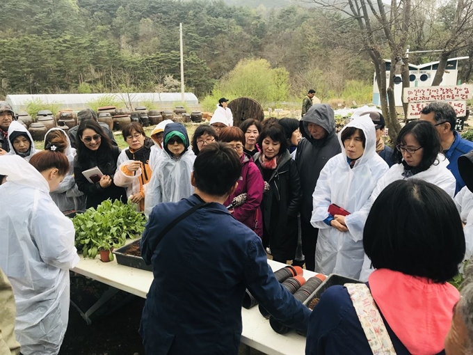 여주시의 약초학교 수강생들이 지난해 4월25일 강원 인제의 내림천 약초원에서 열린 산약초 현장체험에서 강사의 설명을 듣고 있다. 여주시 제공