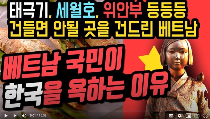 국내 한 유튜버가 베트남 사회에서 태극기, 세월호, 일본군위안부 문제에 대한 조롱과 비하가 이어지고 있다고 영상물을 통해 주장하고 있다. 유튜브 캡처