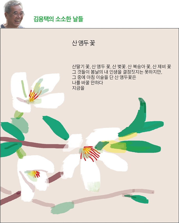 [저작권 한국일보] 그래픽 박구원 기자