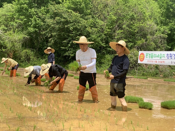 경북 문경 돌리네 습지에서 대구지방환경청 관계자와 지역 주민들이 26일 손 모내기를 하고 있다. 대구지방환경청 제공