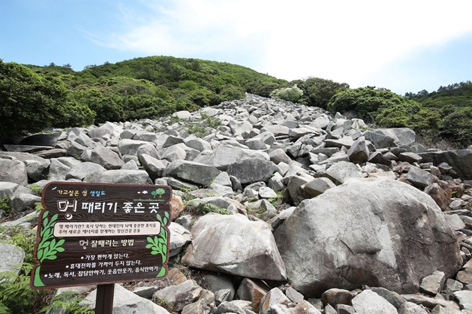 금머리갯길의 첫 번째 ‘멍 때리기 좋은 곳’, 너덜겅.