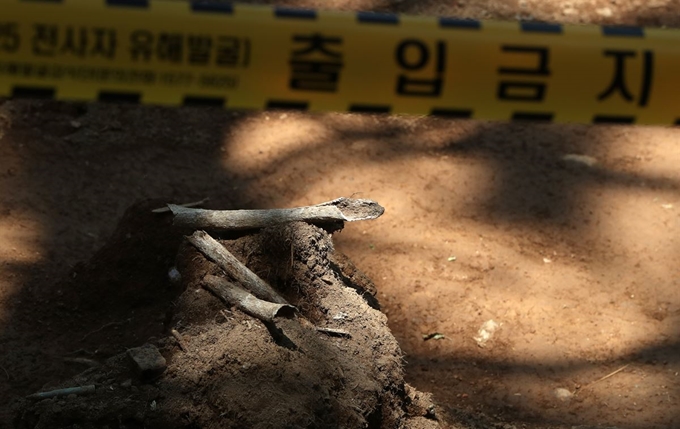 8일 오후 강원 화천군 하남면 서오지리 내 6·25 전사자 유해발굴 현장에서 신원을 알 수 없는 유골이 공개되고 있다. 연합뉴스