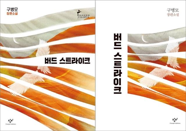 '청소년 소설'과 '성인 소설'의 경계를 넘나 들어온 구병모 소설가의 신간 '버드 스트라이크'는 데뷔작 '위저드 베이커리'가 그랬듯 이번에도 청소년판(왼쪽)과 일반판(오른쪽) 두 가지 버전으로 출간됐다. 창비 제공