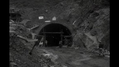 [36.5℃] 생명보다 소중한 것