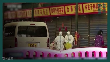 우한 못 떠나는 교민들  “분유 떨어졌는데도 못 산다”