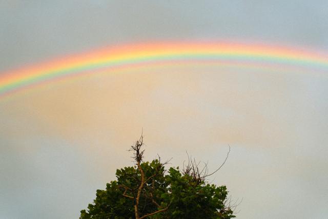 인상된 전세 보증금...가진 건 동산뿐 [2030 세상보기] - 뉴스 썸네일 이미지