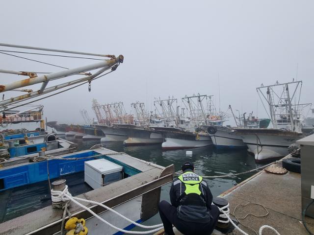 해경청 "3~7월 '짙은 안개' 해상 사고 18%↑ 84곳 집중 관리" - 뉴스 썸네일 이미지