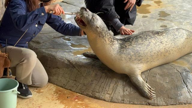 동물원수족관법 및 동물복지 논의 관련 이미지