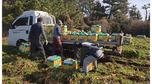 "입는 로봇이 귤 따드려요" 제주, 농업인용 '웨어러블 로봇' 임대 - 뉴스 썸네일 이미지