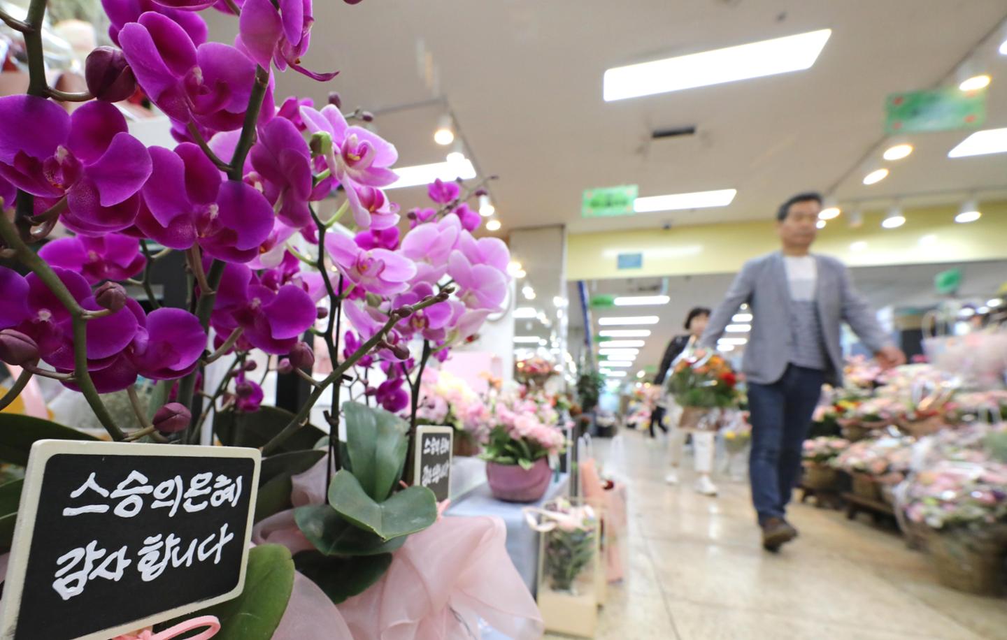 스승의날 선물 관련 이미지