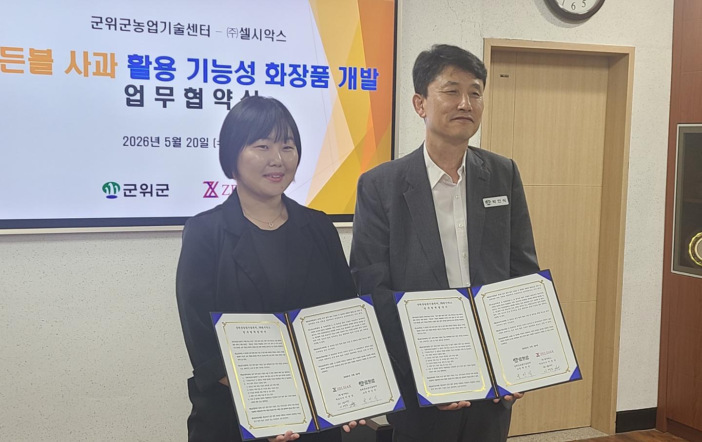 먹는 사과에서 바르는 사과로, 군위 '골든볼'의 새 도전 - 뉴스 썸네일 이미지