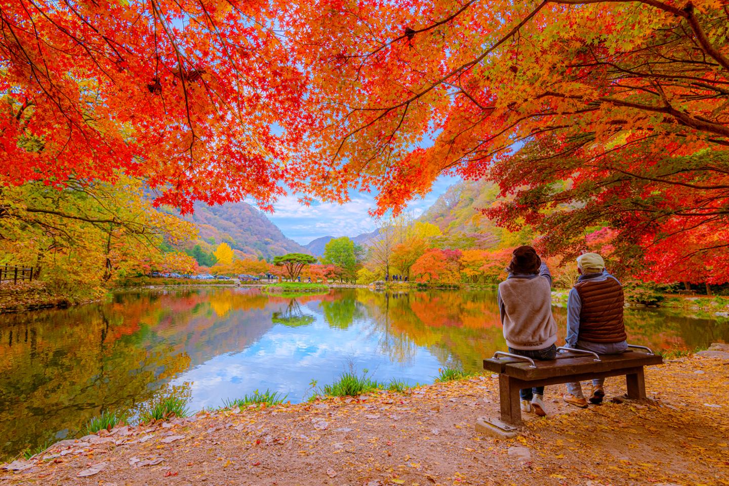 South Korea Launches Autumn Travel Campaign with Up to 50% Discounts and Rebates for Oct-Nov 2026