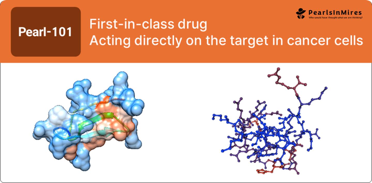 암세포 자연사멸 유도 차세대 항암제 임상 눈앞 - 뉴스 썸네일 이미지