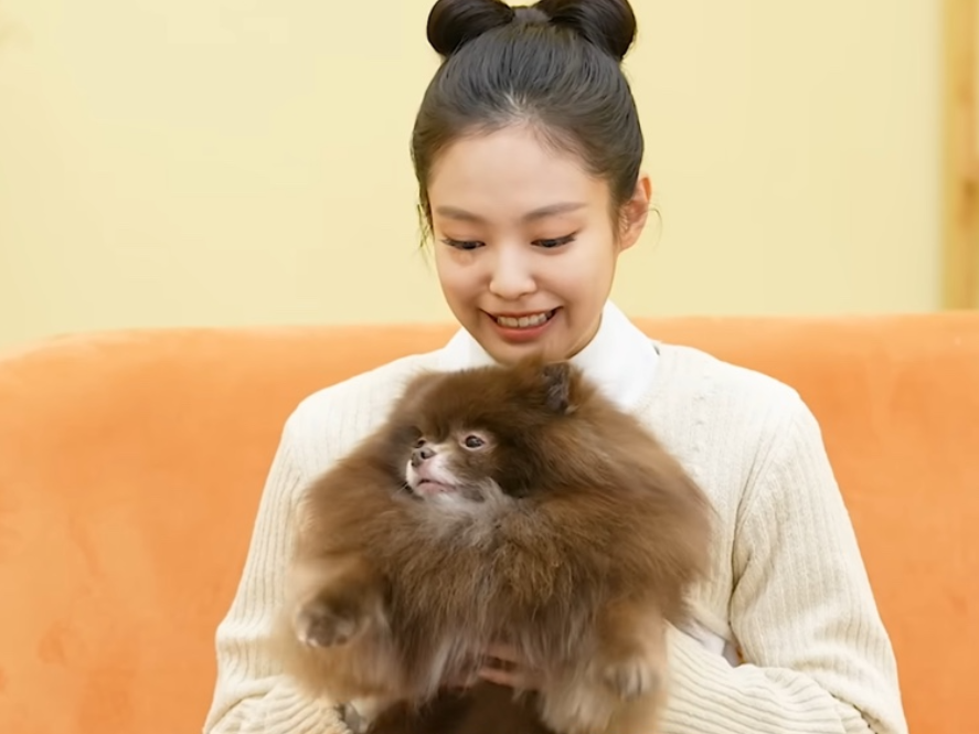 반려동물 이름 짓기 비법! 연예인들의 특별한 작명 비하인드 [연예개]