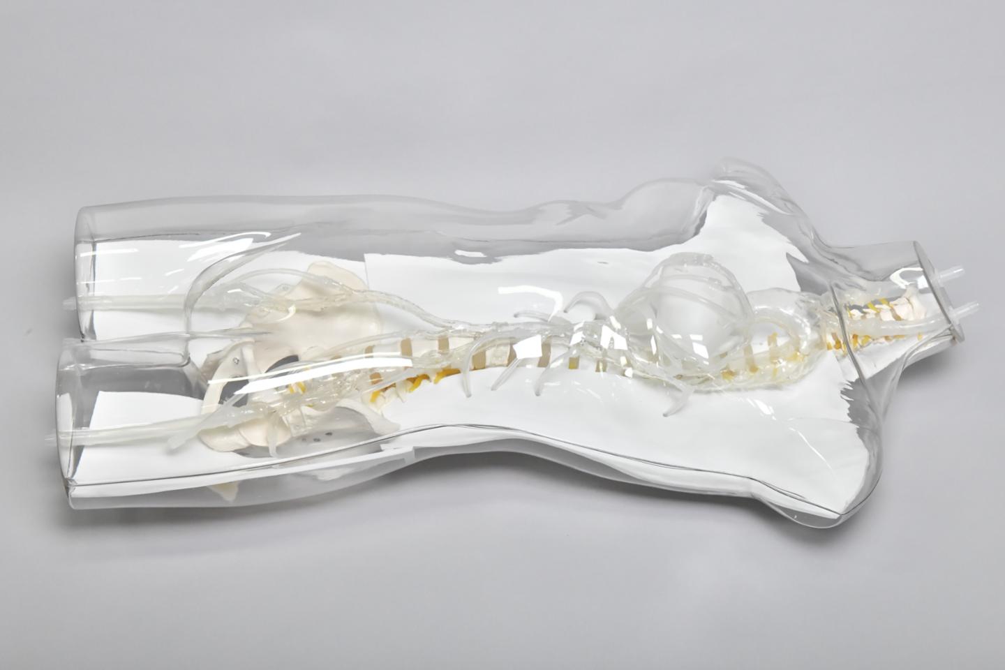 세계 첫 '시뮬레이터+가상 X-레이'로 의료훈련 - 뉴스 썸네일 이미지