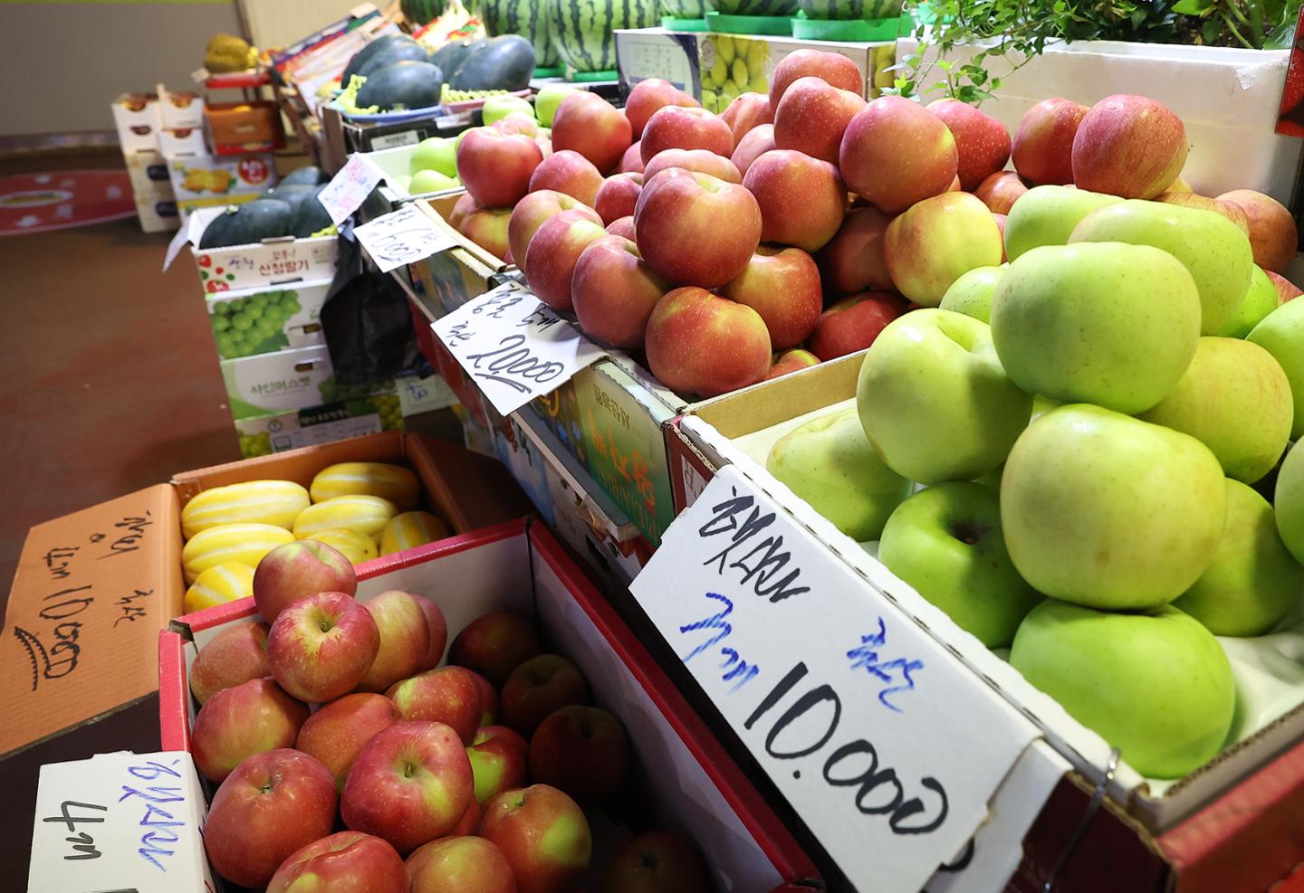 사과는 죄가 없다 [삶과 문화] - 뉴스 썸네일 이미지