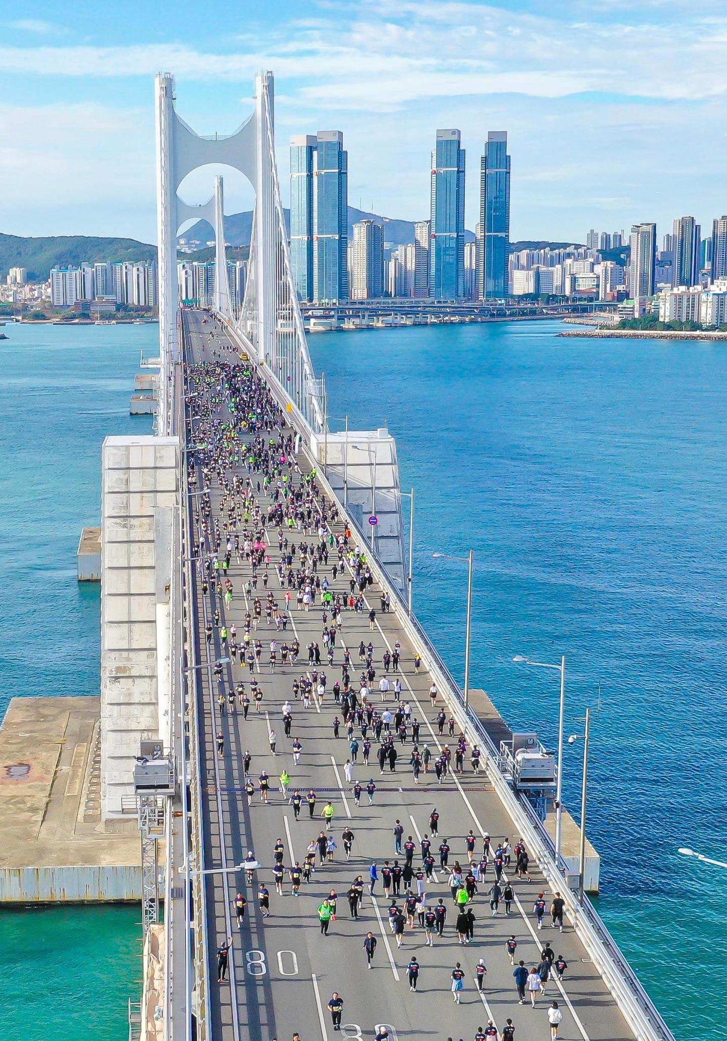 바다 위 교량 달린다… '부산국제마라톤' 올해 개최
