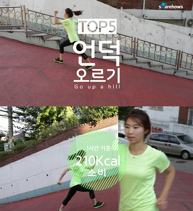 자전거 한시간 소모 칼로리