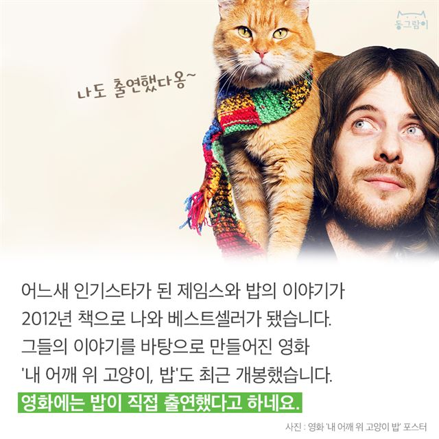 My Image 10