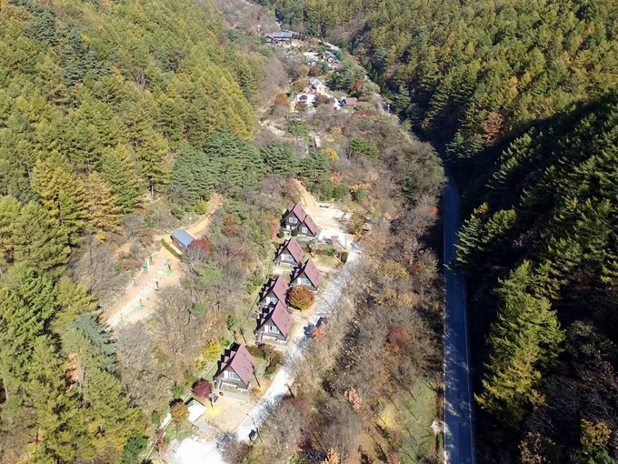 해발 800m에 자리한 양구 광치자연휴양림은 일상에 지친 도시민들에게 휴식을 선물한다. 양구군 제공