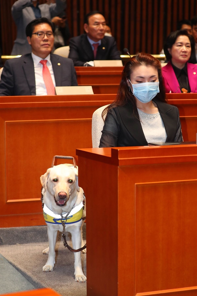 김예지 미래통합당 의원과 안내견 조이가 4일 오후 서울 여의도 국회 예결위 회의장에서 열린 미래통합당 제2차 의원총회에 참석하고 있다. 뉴시스