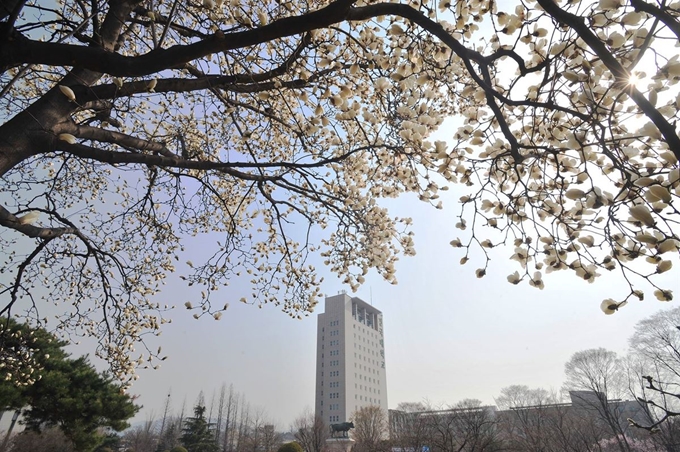 서울 광진구 건국대학교 캠퍼스. 건국대 페이스북 캡처