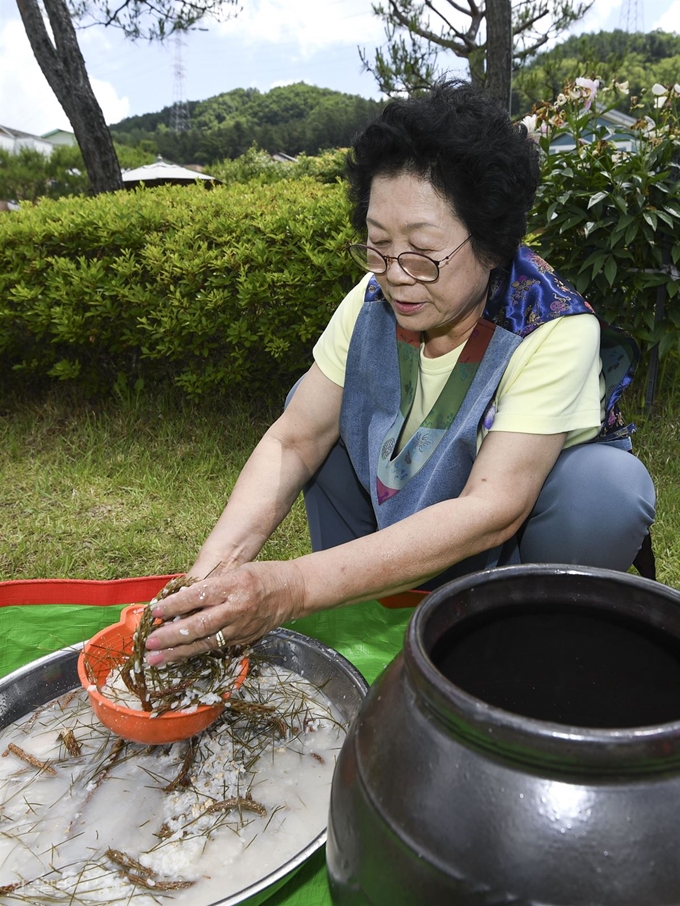 [저작권 한국일보][이런 2막] 화학을 연구하다 퇴임 후 민화를 그리고 전통주를 담그며 인생 2막을 살고 있는 김영순 동국대학교 명예교수가 11일 오전 경기 포천시 작업실에서 송순주를 담그는 법을 시연하고 있다. 이한호 기자