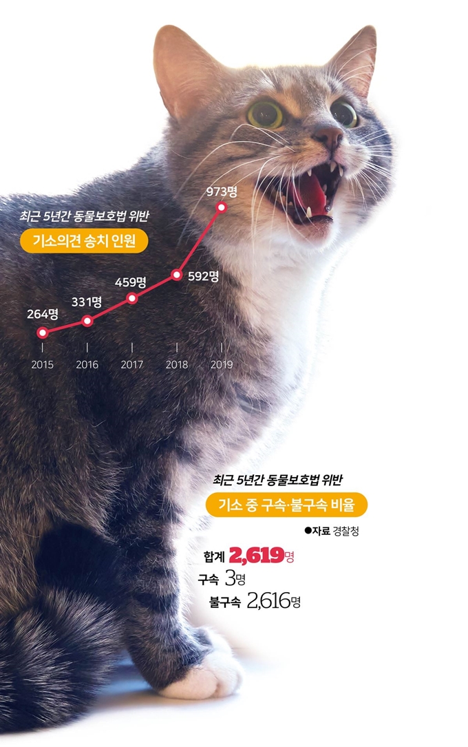 최근 5년간 동물보호법 위반 기소의견 송치 건수. 한국일보