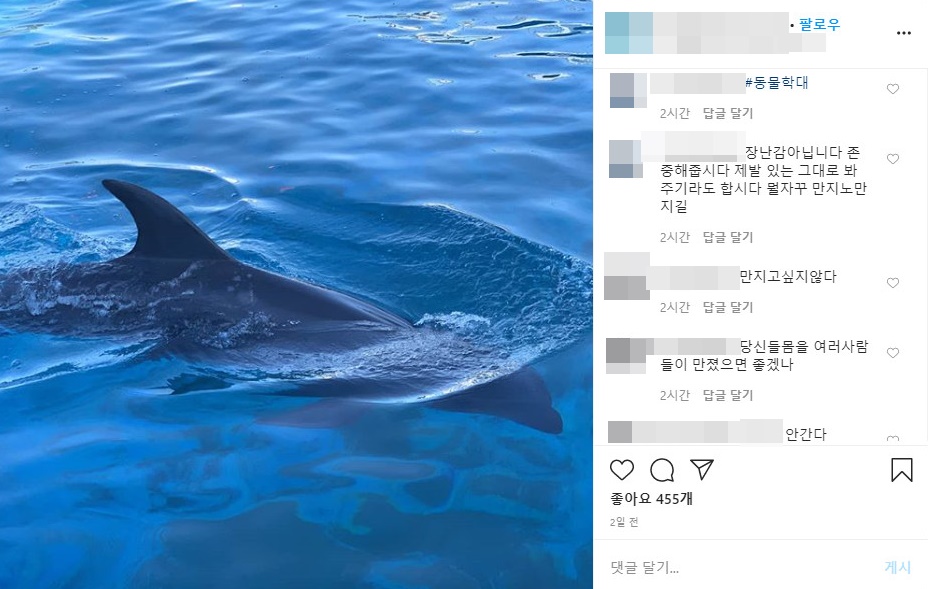 경남의 한 수족관이 사회관계망서비스(SNS)로 돌고래 체험 프로그램을 홍보하자 누리꾼들이 댓글로 항의하고 있다. 인스타그램 캡처