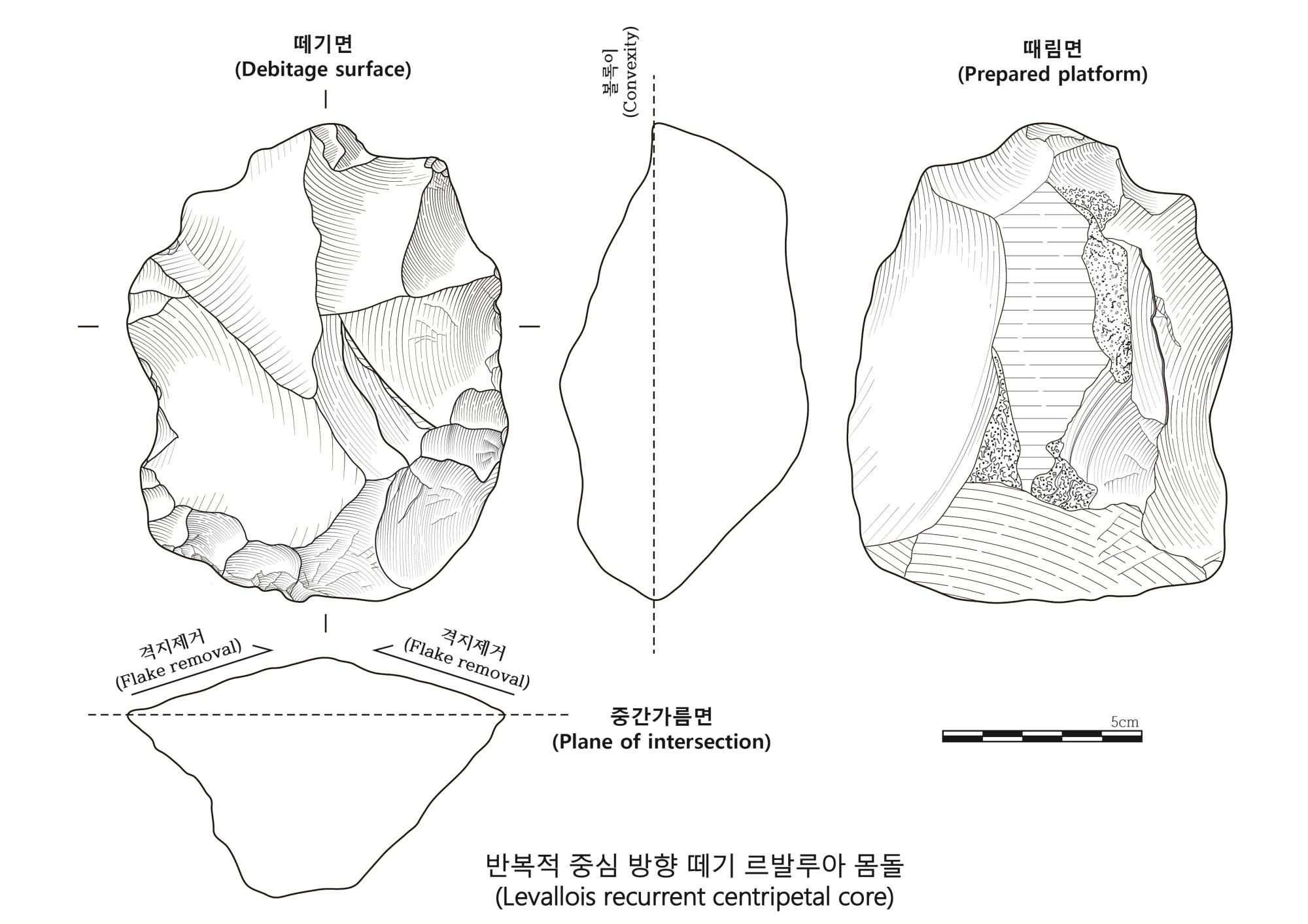 르발루아 몸돌 속성 설명 그림. 백두문화재연구원 제공