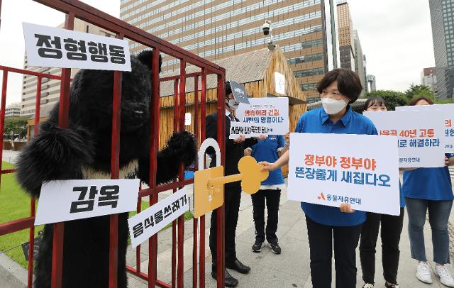 동물자유연대 관계자들이 1일 오전 서울 광화문광장에서 열린 사육곰 생츄어리 이주계획 발표 기자회견에서 사육곰 생츄어리 건립 촉구 퍼포먼스를 펼치고 있다. 뉴스1