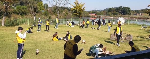 자원봉사자들이 군산유기동물보호소 내 잔디광장에서 유기견들과 시간을 보내고 있다. 이곳 보호소에는 현재 산책로 등이 조성 중이다.