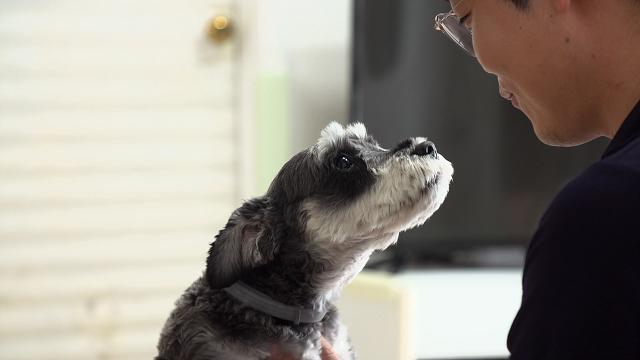 '세나개' 수레이너 설채현을 울린 시각 장애견 후추의 특별한 이야기가 공개된다.EBS 제공