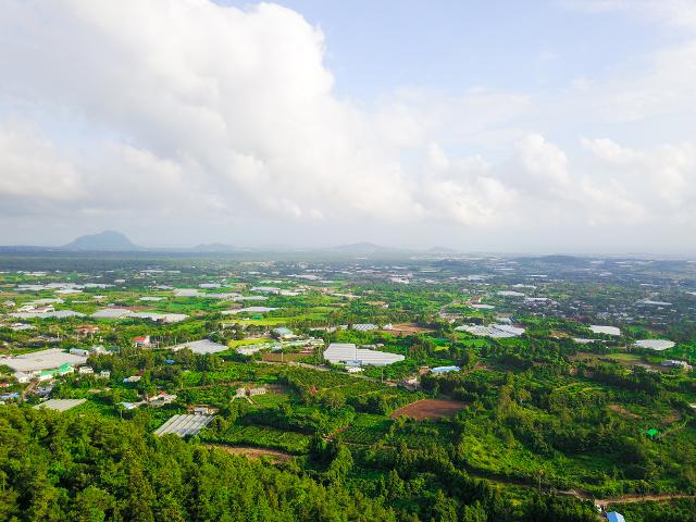 제주도는 올해부터 사회적 농업 활성화 사업을 위해 농업법인, 사회복지법인, 예비사회적기업 등 총 5곳에 2억1,300만원을 지원한다. 사진은 제주 농촌지역 전경. 제주도 제공.