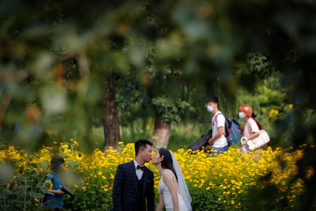 중국 베이징의 공원에서 지난 2일 신혼부부가 야생화를 배경으로 결혼사진을 찍고 있다. 베이징=AP 뉴시스