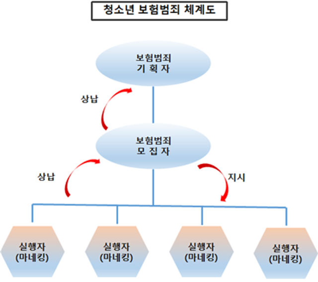 [그래픽]청소년 보험범죄 체계도