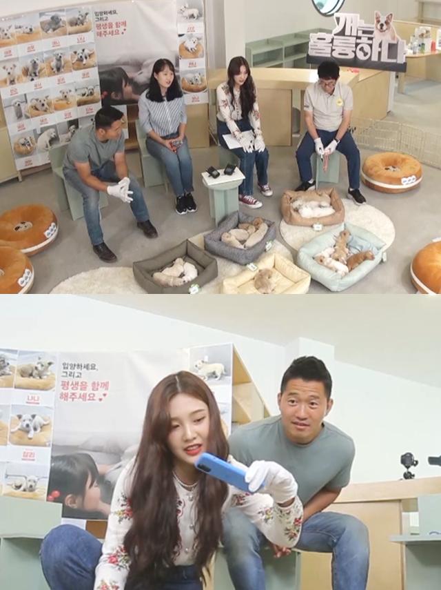 '개훌륭' 레드벨벳 조이가 활약한다. KBS 제공