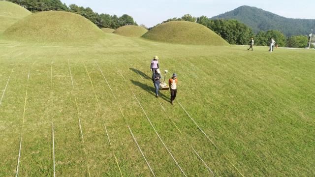 지난해 문화재청 조사 당시 충남 부여 능산리 고분군의 전경. 문화재청 제공